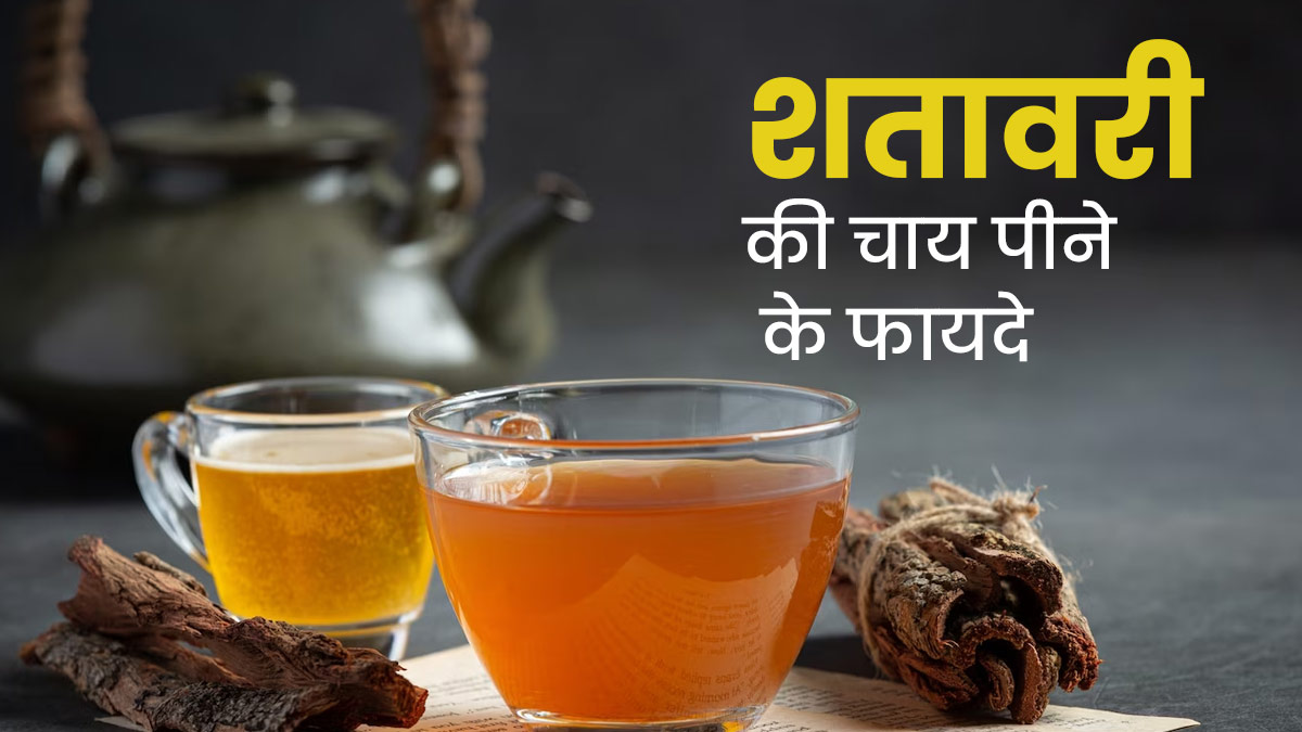 शतावरी की चाय पीने से शरीर को मिलते हैं ये 5 जबरदस्त फायदे, जानें रेसिपी