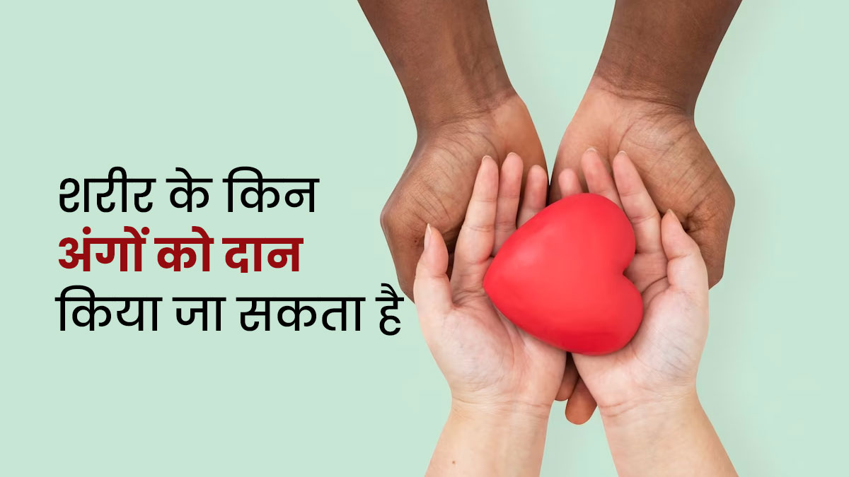 World Organ Donation Day: शरीर के किन-किन अंगों को दान किया जा सकता है? डॉक्टर से जानें