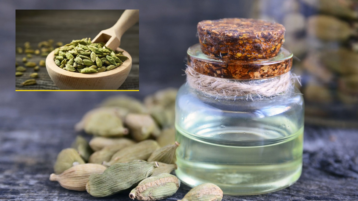 elaichi oil benefits 