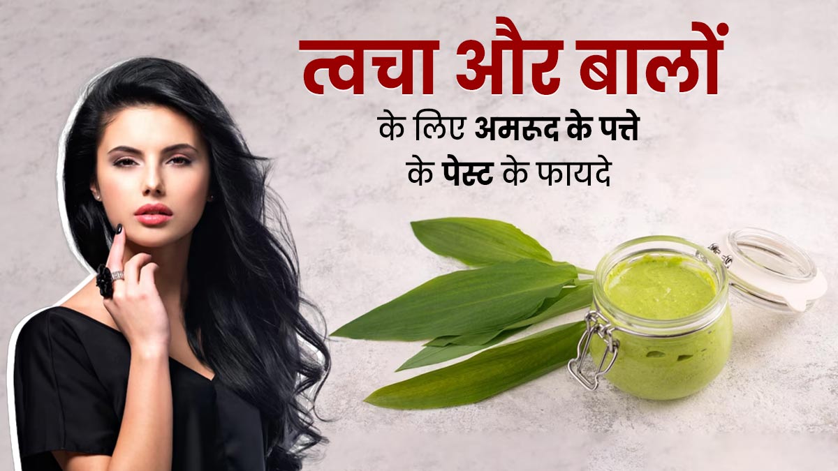त्वचा और बालों पर अमरूद के पत्तों का पेस्ट लगाने से दूर होती हैं कई समस्याएं, इस तरह करें इस्तेमाल