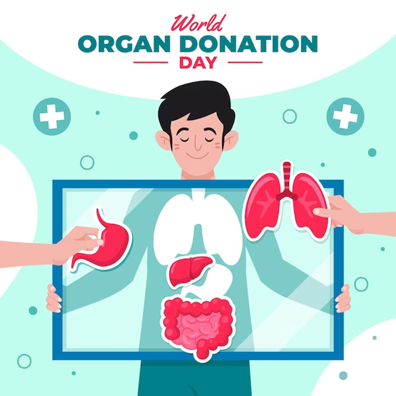 organ donation