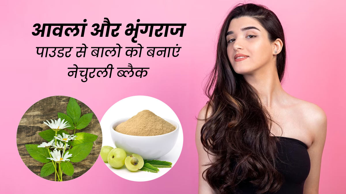 बालों को नेचुरली काला बनाएगा आंवला और भृंगराज पाउडर, जानें इस्तेमाल का तरीका 