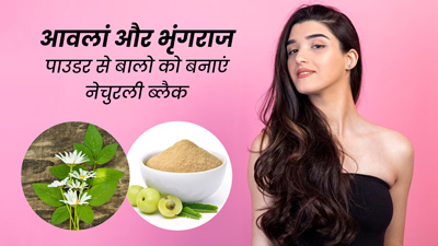 बालों को नेचुरली काला बनाएगा आंवला और भृंगराज पाउडर, जानें इस्तेमाल का तरीका 