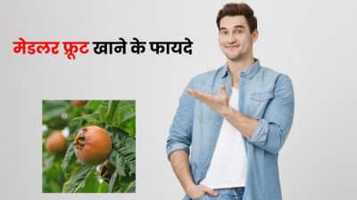 मेडलर या लोकाट का फल खाने से शरीर को मिलते हैं ये 5 जबरदस्त फायदे