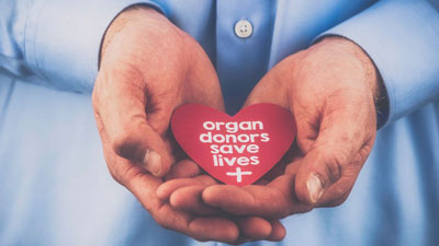 World Organ Donation Day: विश्व अंगदान दिवस क्यों मनाया जाता है? जानें इसका महत्व और थीम 