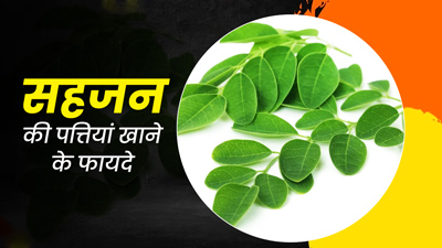 सहजन की पत्तियां खाने से शरीर को मिलेंगे ये 5 जबरदस्त फायदे, डाइट में करें शामिल 