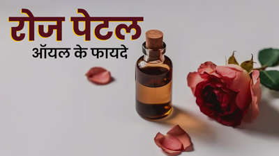 गुलाब की पंखुड़ियों (रोज पेटल) से बना तेल दूर करता है त्‍वचा की ये 6 समस्‍याएं, जानें इस्‍तेमाल का तरीका  