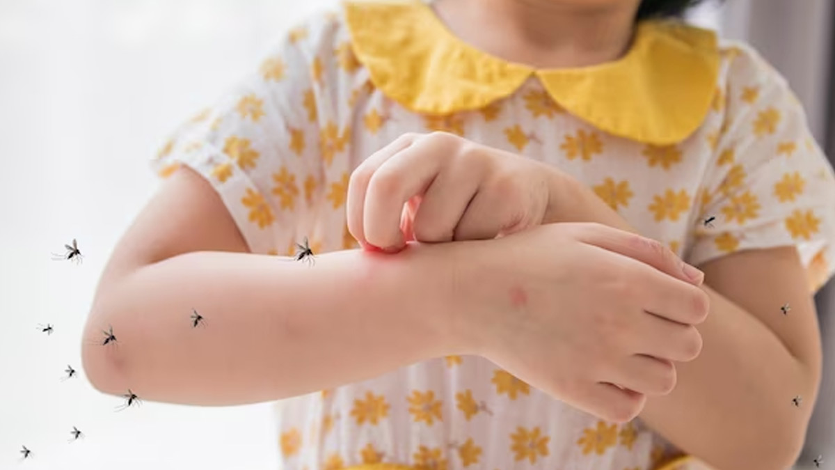 Dengue Alert! Natural Mosquito Repellents That Can Prevent Infections