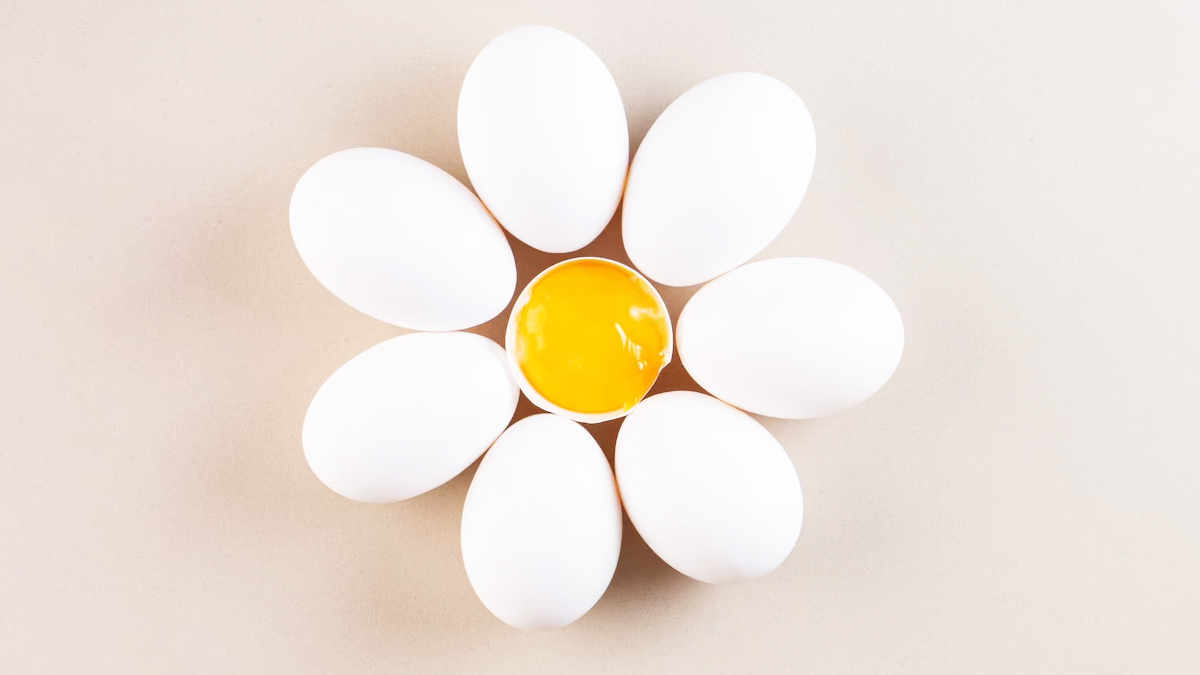 egg