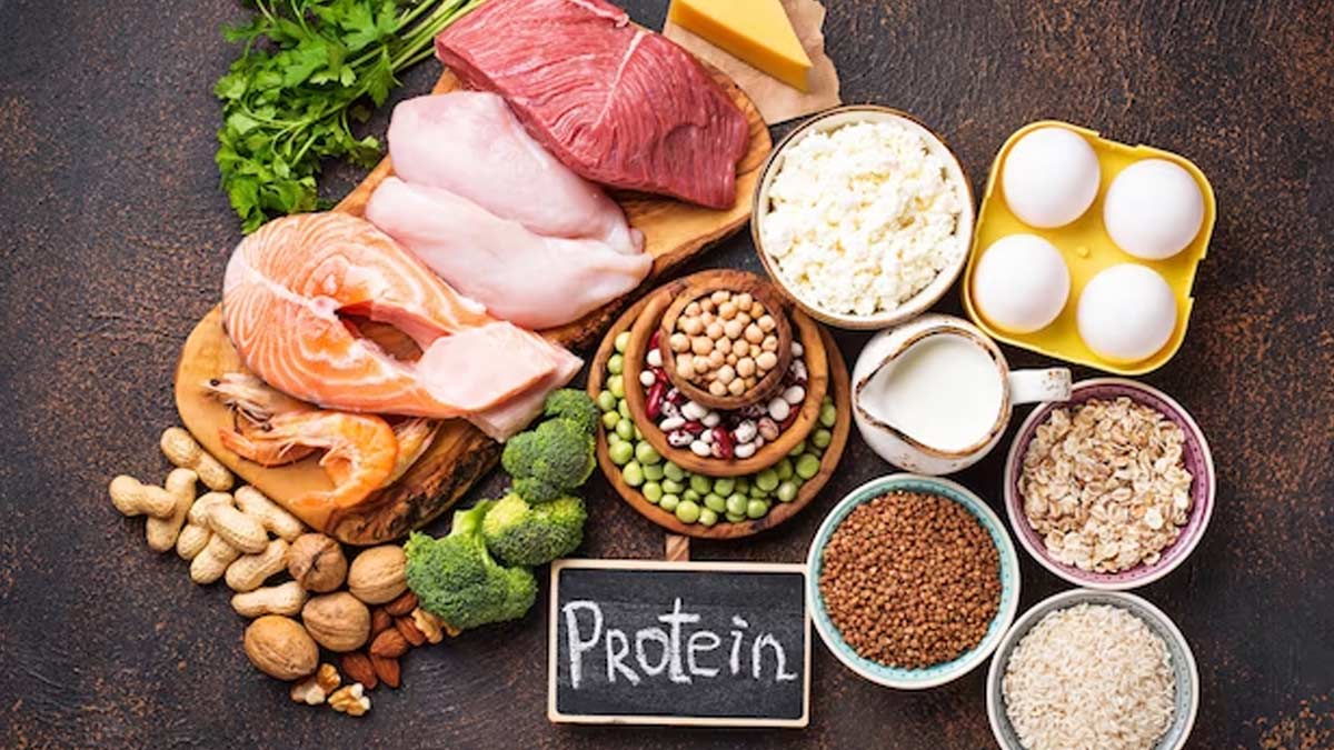 protein sources in hindi