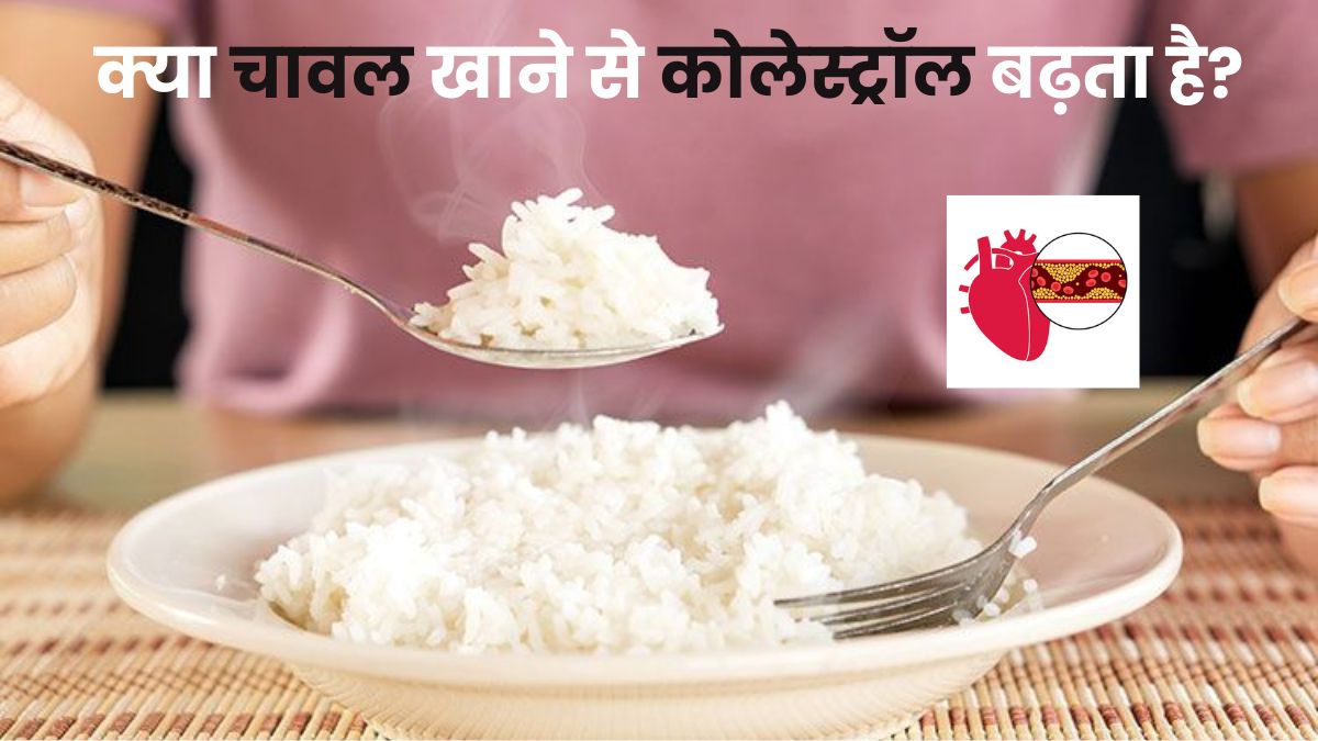 Does Eating Rice Increase Cholesterol