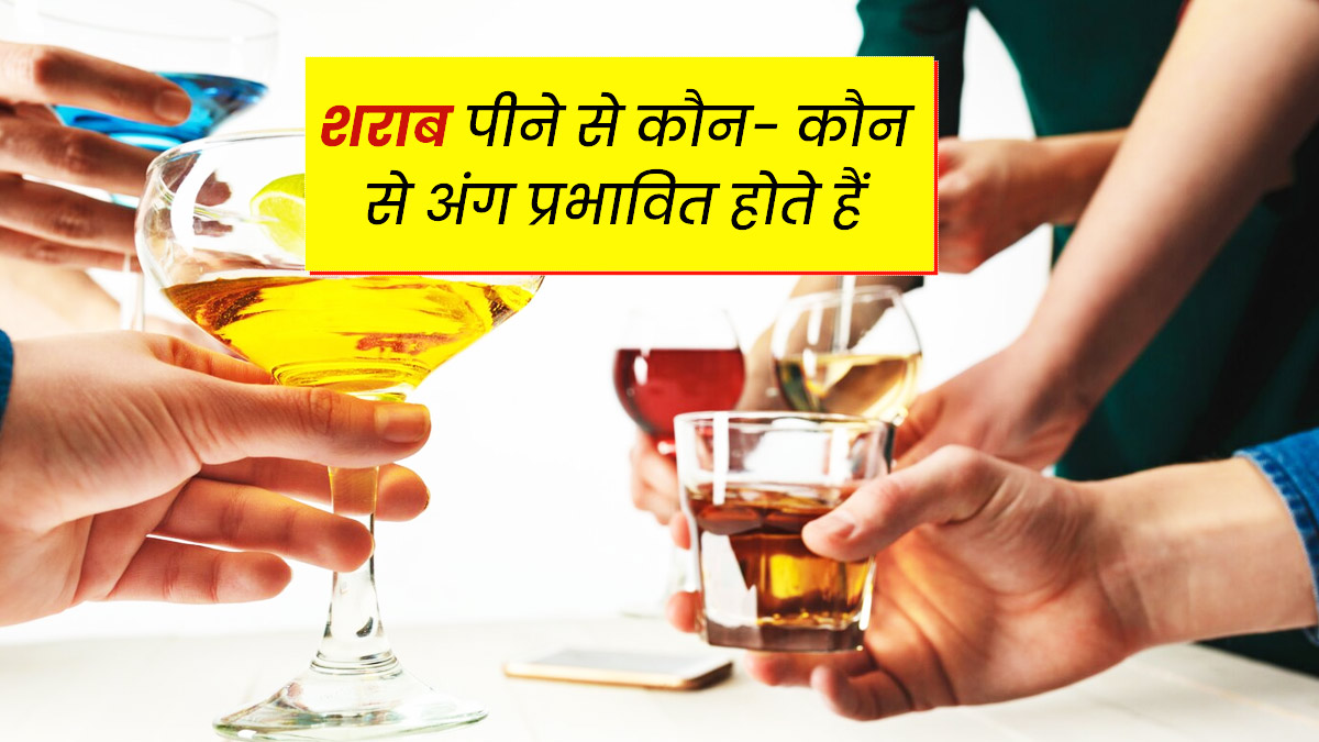 ज्यादा शराब पीने से शरीर के इन 5 अंगों पर पड़ता है सबसे ज्यादा बुरा असर, आज ही छोड़ दें