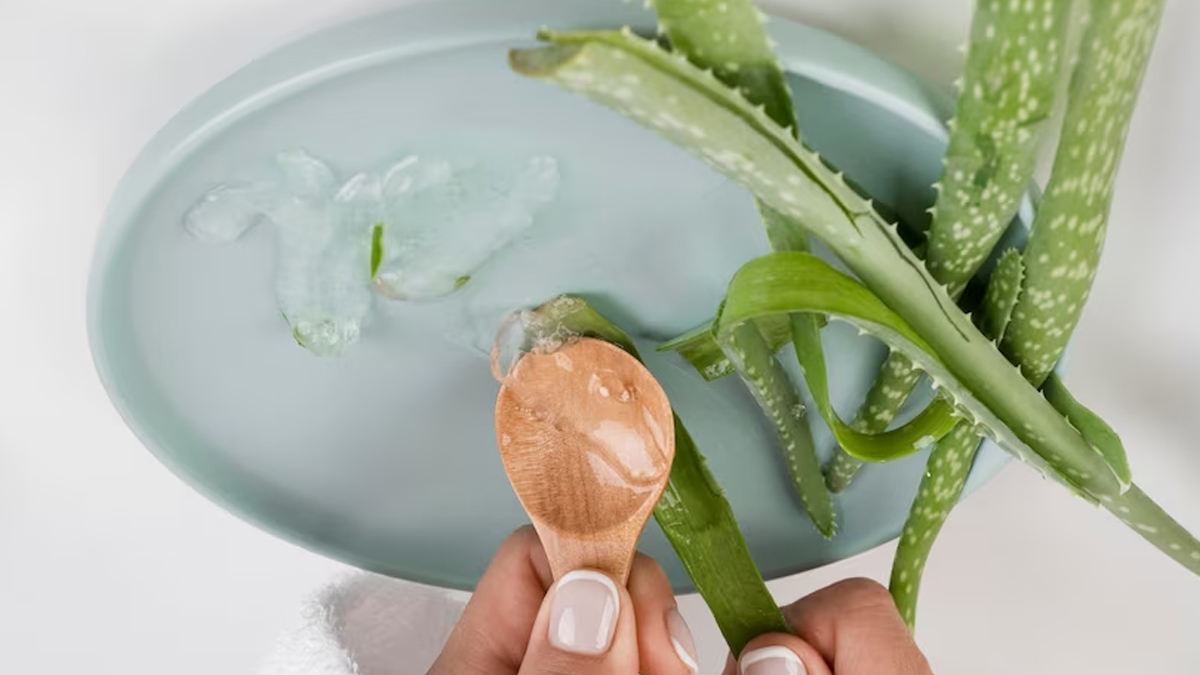 aloe vera