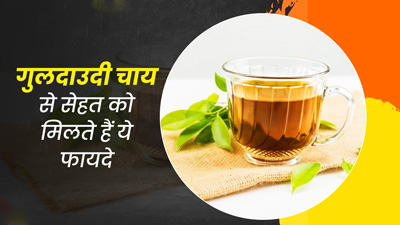 गुलदाउदी के फूलों की चाय पीने से शरीर को मिलते हैं कई फायदे, जानें बनाने का तरीका 