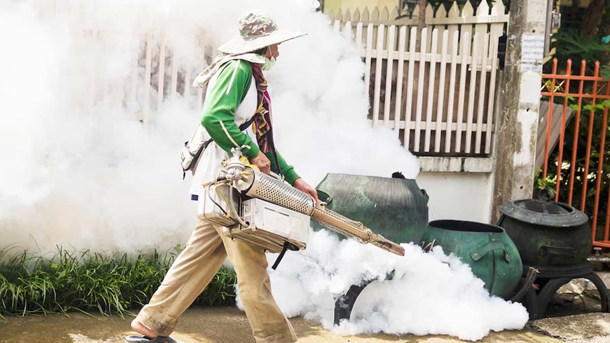 Dengue Cases: दिल्ली और यूपी समेत कई राज्यों में बढ़ रहे हैं डेंगू के मामले, जानें कहां कितने मामले हुए दर्ज