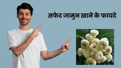 इम्यूनिटी बूस्ट करने से डायबिटीज तक में फायदेमंद होता है सफेद जामुन का सेवन, जानें खाने का तरीका