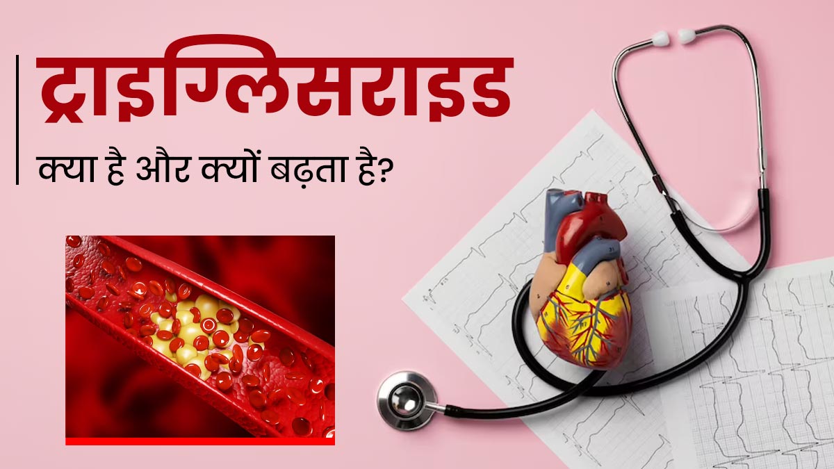 ट्राइग्लिसराइड क्या होता है और शरीर में क्यों बढ़ता है? एक्सपर्ट से जानें इसे कंट्रोल करने के उपाय