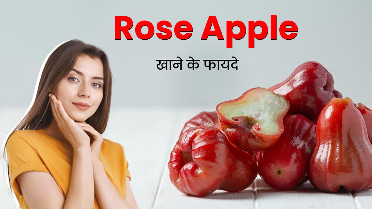 Water Apple Benefits: पानी वाला सेब खाने से शरीर को मिलते हैं ये 5 फायदे, जरूर करें डाइट में शामिल