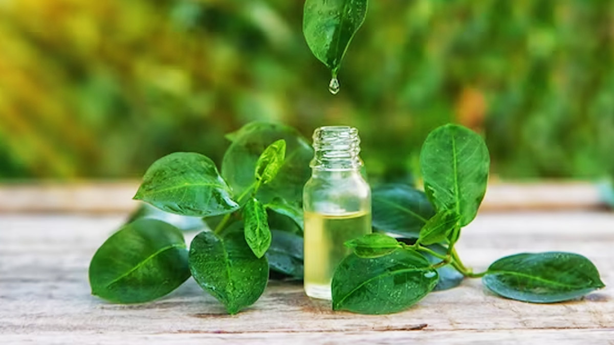 tea tree oil benefits 