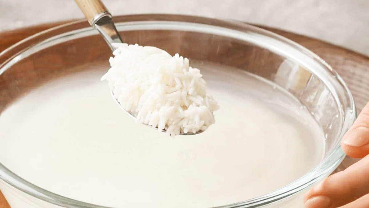 rice water toner