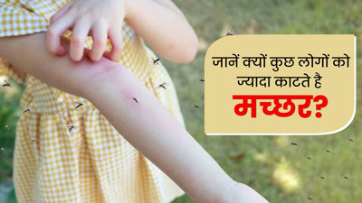 कुछ लोगों को क्यों काटते हैं ज्यादा मच्छर? एक्सपर्ट से जानें इसके कारण