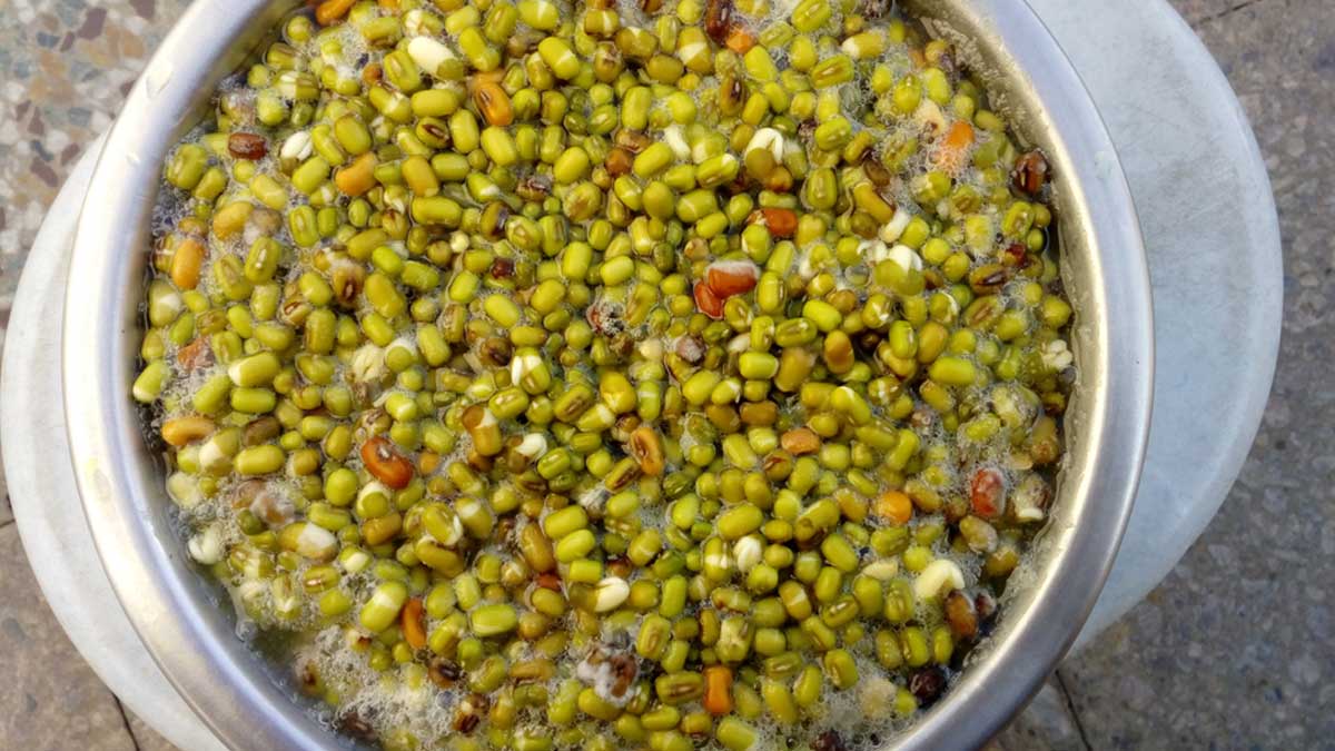 How Long To Soak Pulses Beans And Chickpeas In Hindi