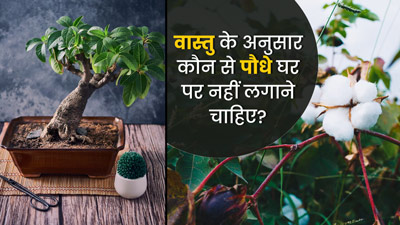 वास्तु के अनुसार घर पर नहीं लगाने चाहिए ये 5 पौधे, बढ़ सकती हैं परेशानियां   