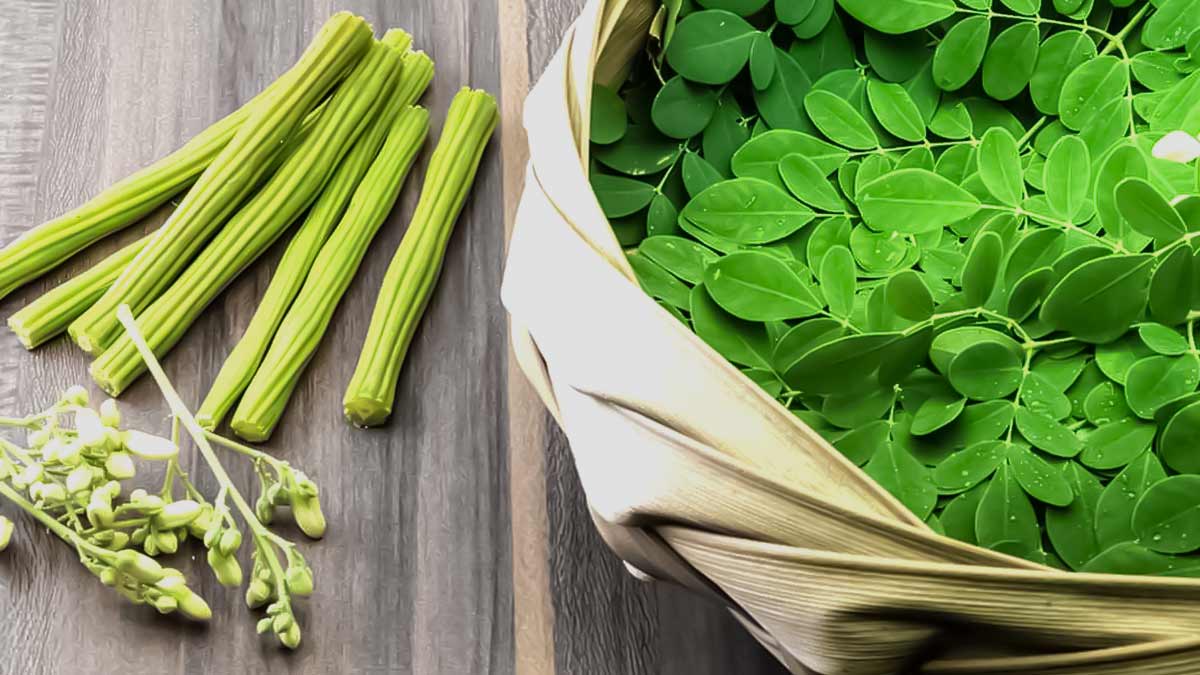 Moringa Leaves: A Superfood for Overall Well-being