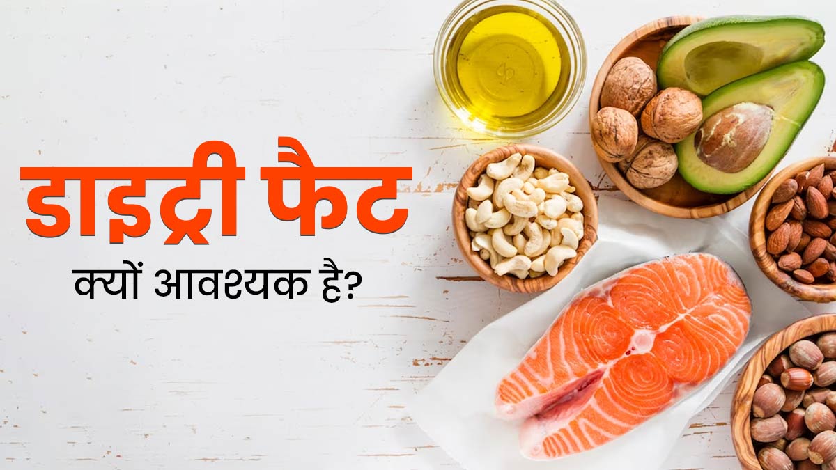 डाइट्री फैट को आवश्यक मैक्रोन्यूट्रिएंट क्यों माना जाता है? जानें शरीर के लिए यह क्यों होता है जरूरी