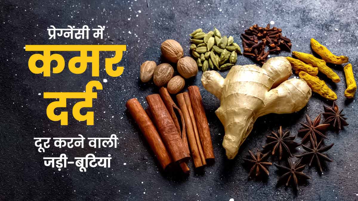 प्रेग्नेंसी में कमर दर्द दूर करने के ल‍िए इस्‍तेमाल करें ये 5 आयुर्वेदिक हर्ब्स, जल्‍द म‍िलेगा आराम 