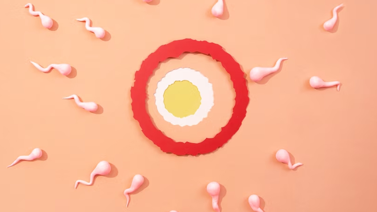 how much sperm does man need to get a woman pregnant in hindi