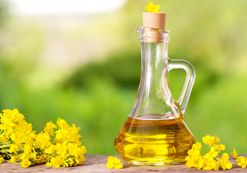 Does Mustard Oil Cause High Cholesterol
