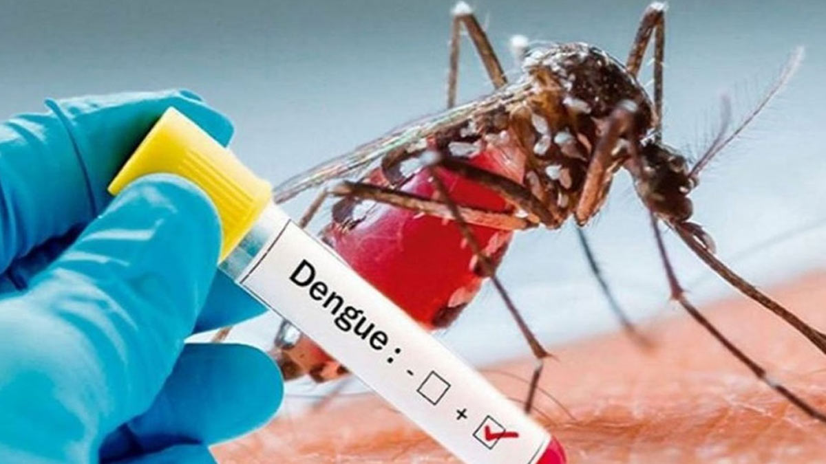 मुंबई में पिछले 7 दिनों में 50% तक बढ़े डेंगू-मलेरिया और स्टमक फ्लू के मामले, जानें बचाव के तरीके 