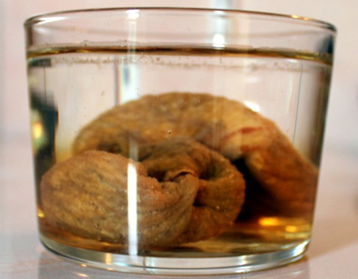 fig soaked in water