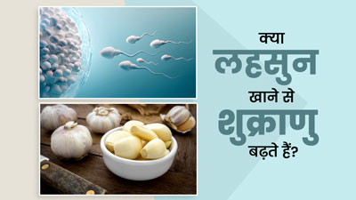 क्या लहसुन खाने से शुक्राणु बढ़ते हैं? जानें आयुर्वेदिक डॉक्टर की राय