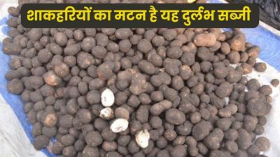 मटन से भी महंगी बिकती है ये दुर्लभ सब्जी कटरुआ, जानें इसे खाने के फायदे