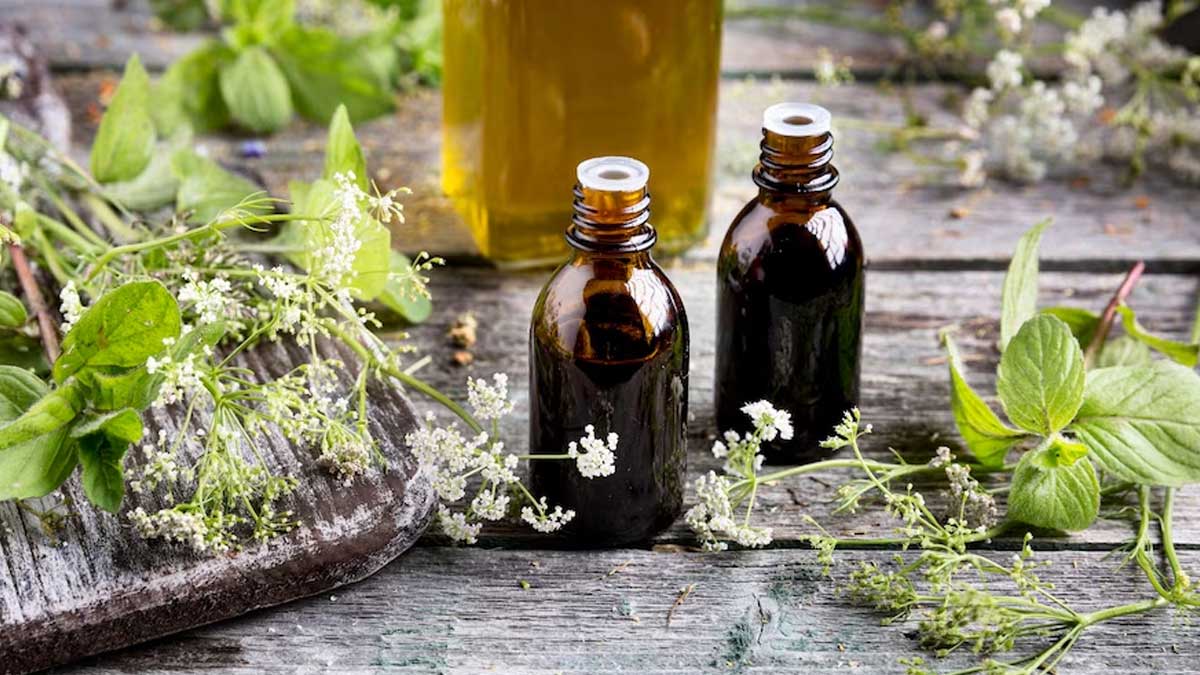 tulsi-oil