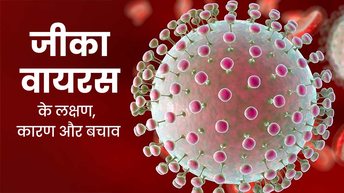 Zika Virus: जीका वायरस क्या है? जानें इसके लक्षण, कारण और बचाव