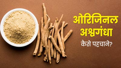 ओरिजिनल अश्वगंधा की पहचान कैसे करें? एक्सपर्ट से जानें कुछ सरल तरीके