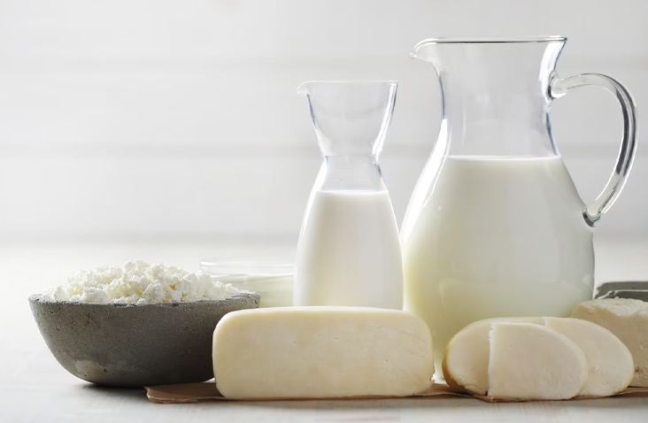 dairy products