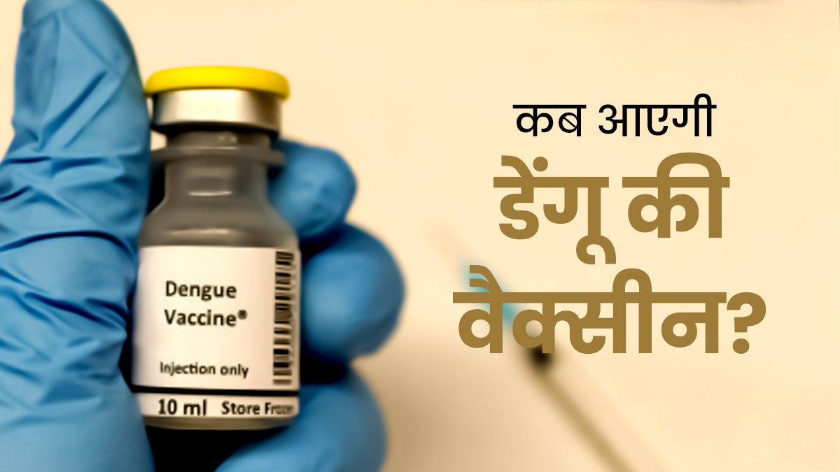 भारत में कब तक आएगी डेंगू की वैक्सीन? इंडियन इम्यूनोलॉजिकल्स लिमिटेड ने किया खुलासा 