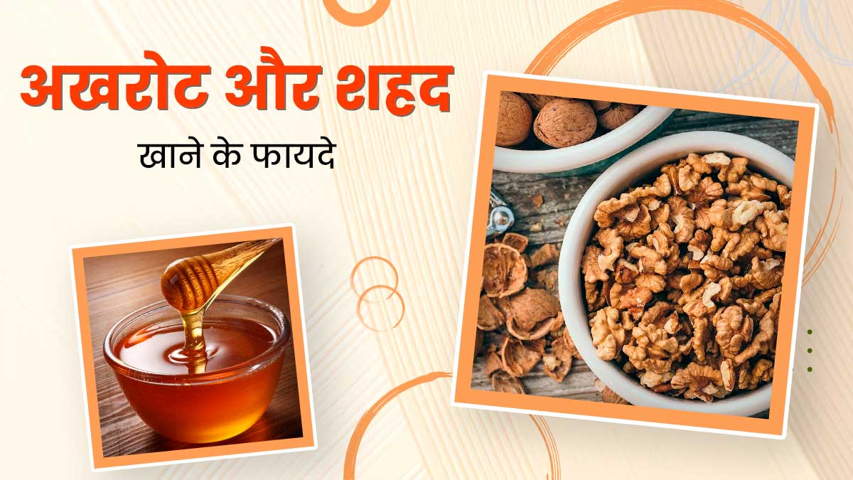 अखरोट और शहद को एक साथ खाने से सेहत को मिलेंगे ये 5 फायदे, जानें सेवन का तरीका