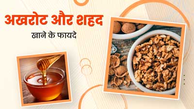अखरोट और शहद को एक साथ खाने से सेहत को मिलेंगे ये 5 फायदे, जानें सेवन का तरीका
