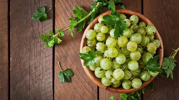 Amla-Indian-Gooseberry