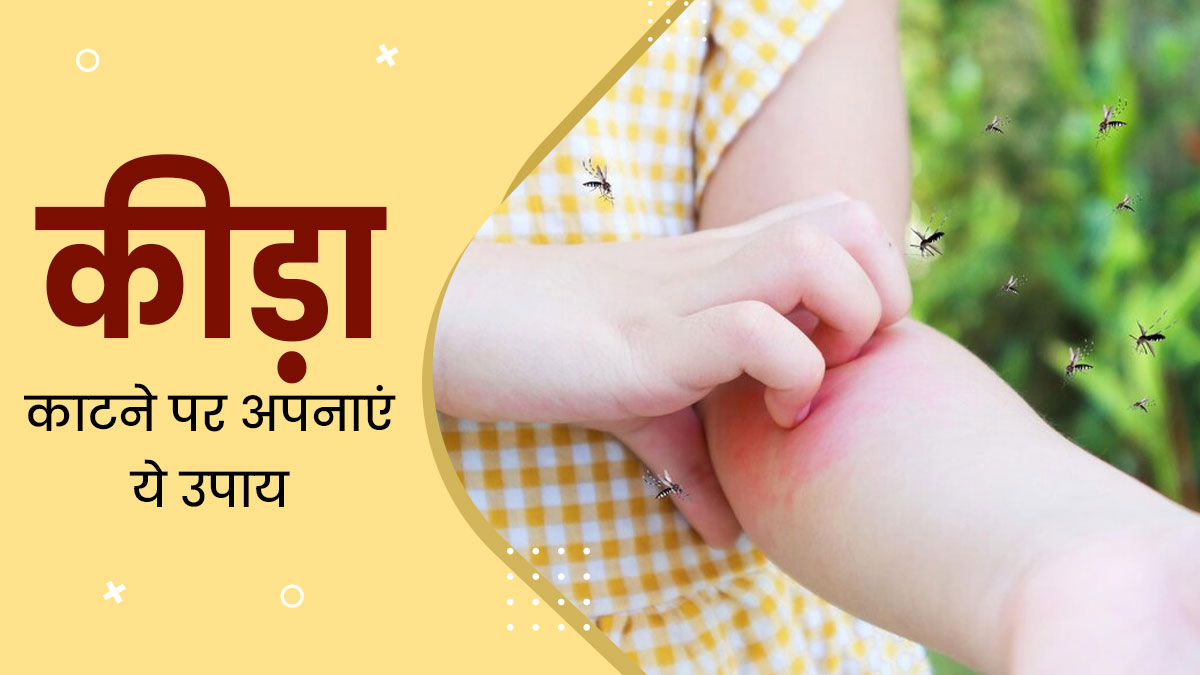 कीड़ा-मकोड़ा काटने पर तुरंत अपनाएं ये 5 घरेलू उपाय, जलन और सूजन से मिलेगी राहत 
