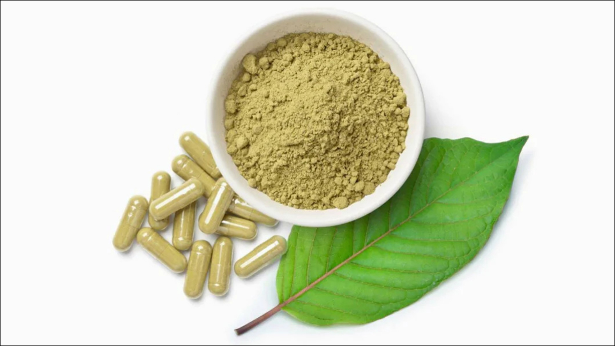 https://images.onlymyhealth.com/imported/images/2023/August/27_Aug_2023/main-kratom.jpg