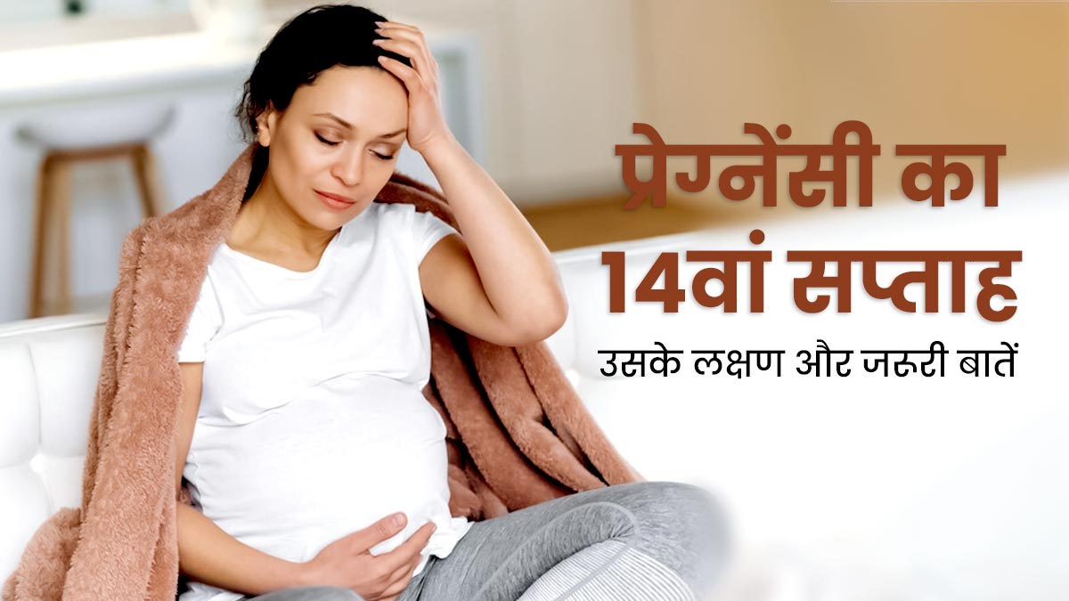 14th Week Pregnancy प्रेग्नेंसी के 14वें सप्ताह के लक्षण सावधानियां और जरूरी बातें 14 Week 
