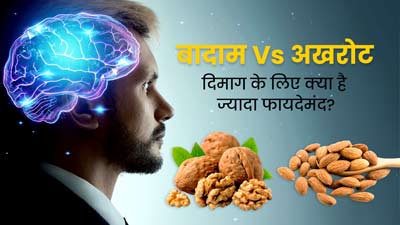 बादाम Vs अखरोट, मस्तिष्क के लिए क्या है अधिक फायदेमंद? जानें क्या खाने से ज्यादा तेज होता है दिमाग