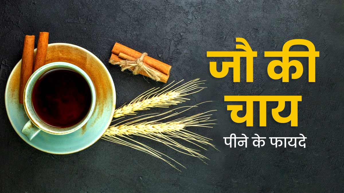 जौ की चाय पीने से सेहत को मिलते हैं ये 5 जबरदस्त फायदे, जानें आसान रेसिपी