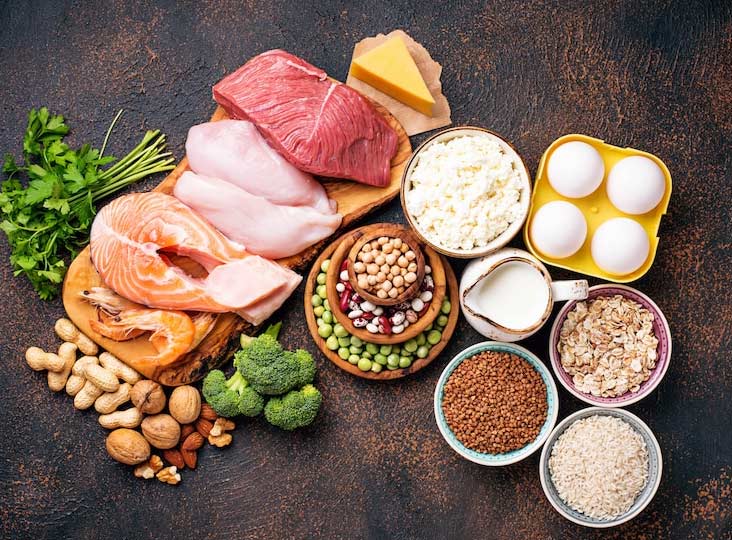 protein rich diet 